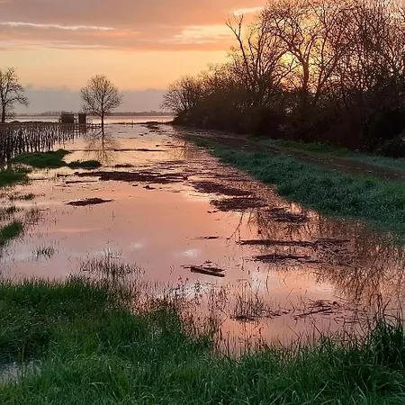 Casa Tranquila Cerca El Estuario